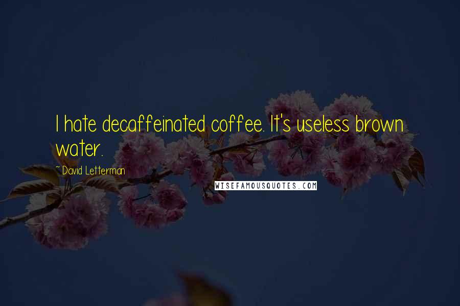 David Letterman Quotes: I hate decaffeinated coffee. It's useless brown water.