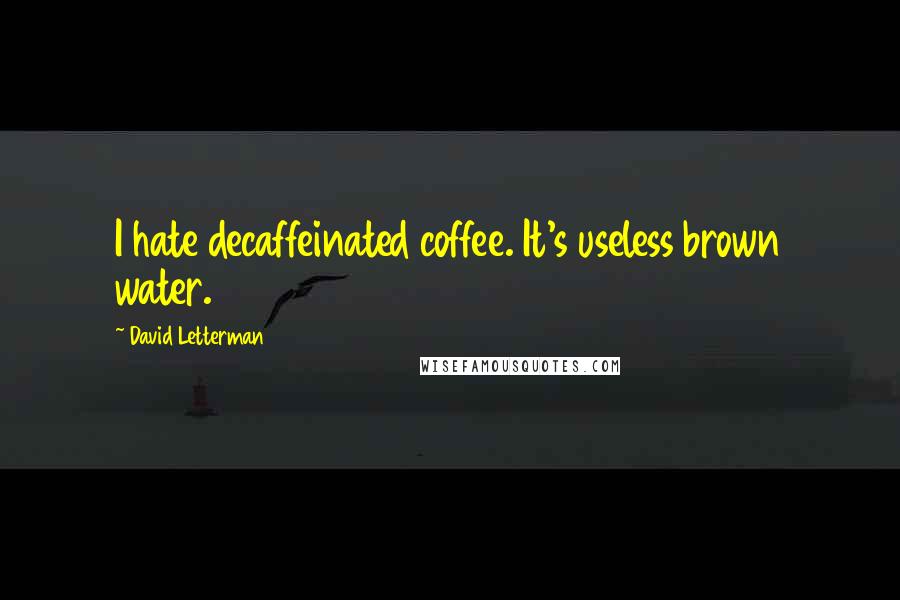 David Letterman Quotes: I hate decaffeinated coffee. It's useless brown water.