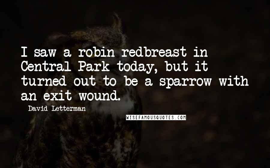 David Letterman Quotes: I saw a robin redbreast in Central Park today, but it turned out to be a sparrow with an exit wound.