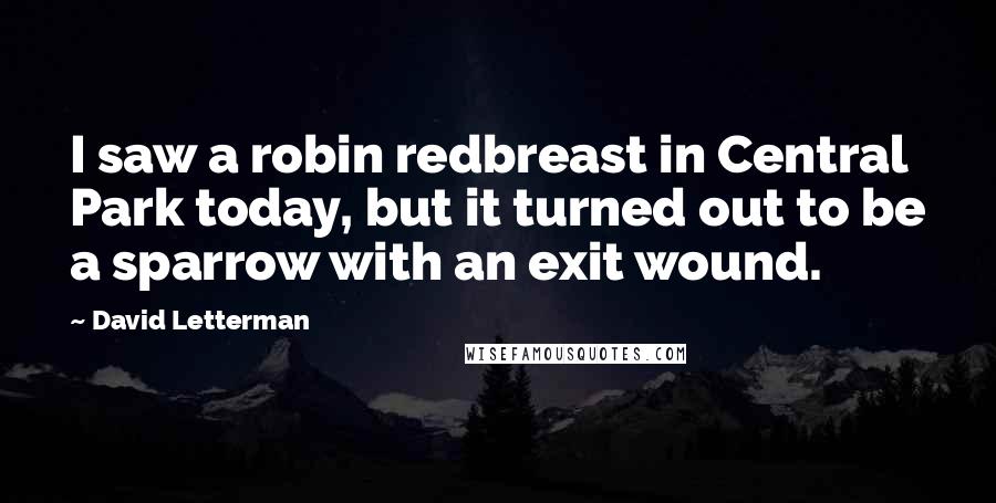 David Letterman Quotes: I saw a robin redbreast in Central Park today, but it turned out to be a sparrow with an exit wound.