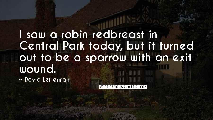 David Letterman Quotes: I saw a robin redbreast in Central Park today, but it turned out to be a sparrow with an exit wound.