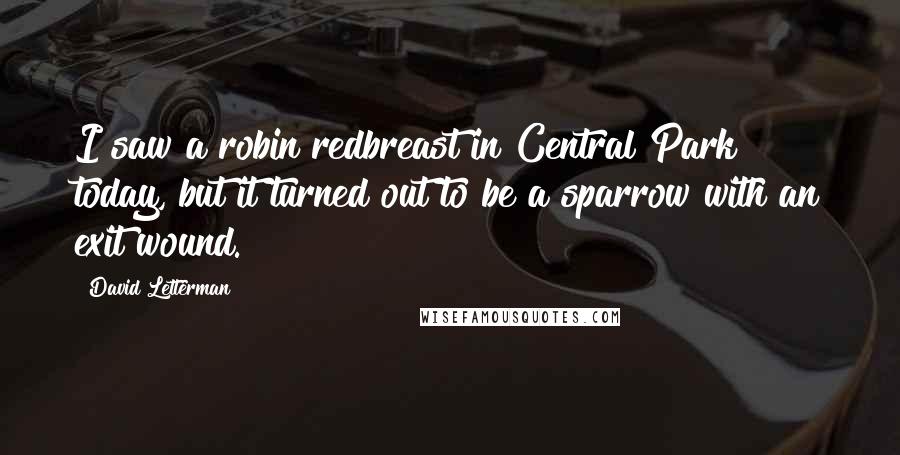 David Letterman Quotes: I saw a robin redbreast in Central Park today, but it turned out to be a sparrow with an exit wound.