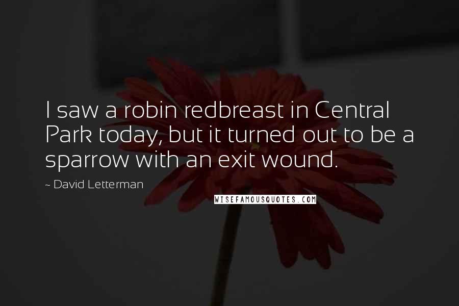 David Letterman Quotes: I saw a robin redbreast in Central Park today, but it turned out to be a sparrow with an exit wound.