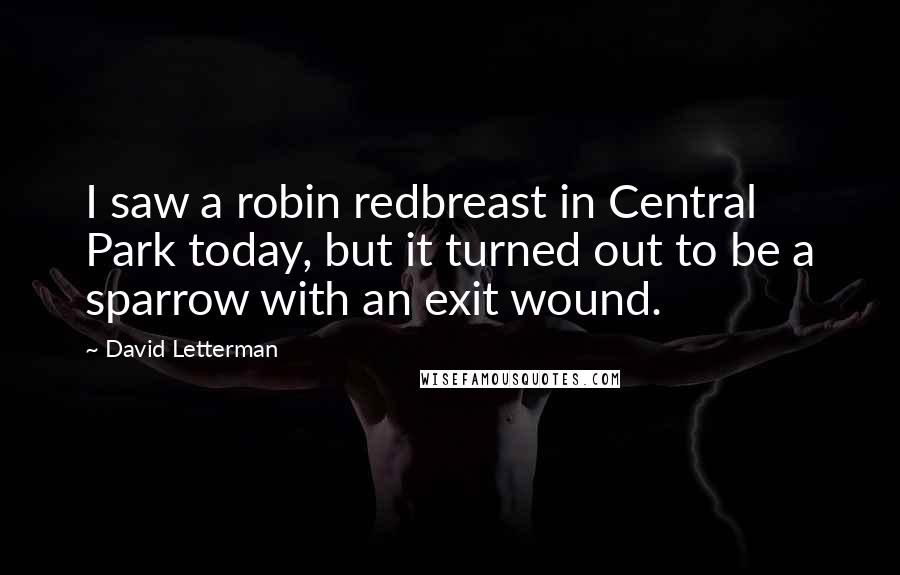 David Letterman Quotes: I saw a robin redbreast in Central Park today, but it turned out to be a sparrow with an exit wound.