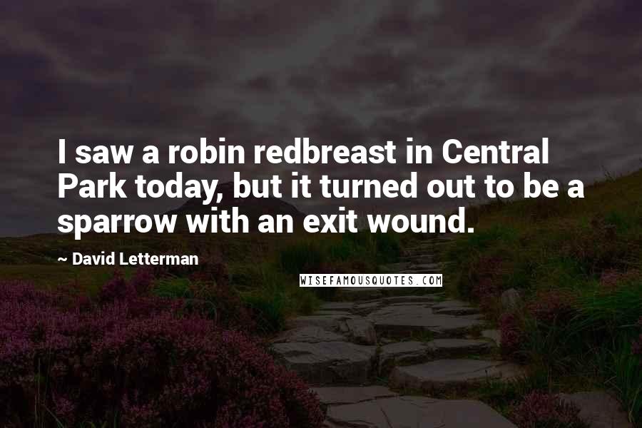 David Letterman Quotes: I saw a robin redbreast in Central Park today, but it turned out to be a sparrow with an exit wound.