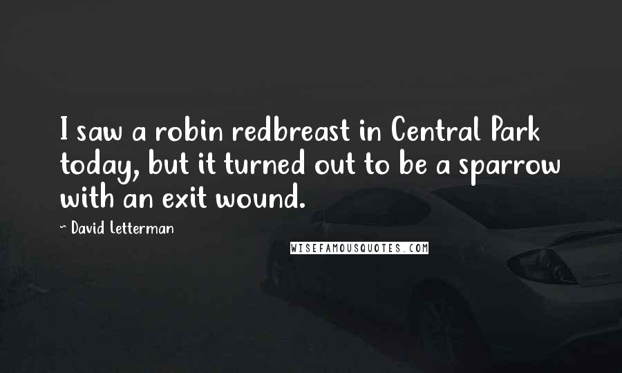 David Letterman Quotes: I saw a robin redbreast in Central Park today, but it turned out to be a sparrow with an exit wound.