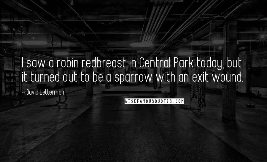 David Letterman Quotes: I saw a robin redbreast in Central Park today, but it turned out to be a sparrow with an exit wound.