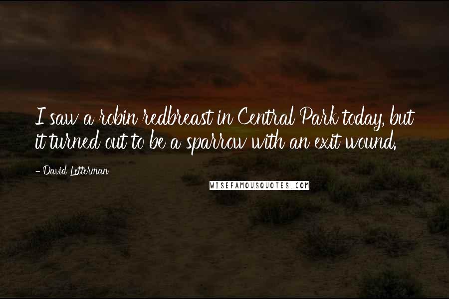 David Letterman Quotes: I saw a robin redbreast in Central Park today, but it turned out to be a sparrow with an exit wound.
