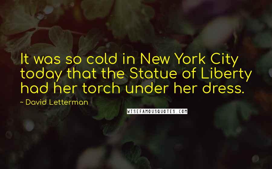 David Letterman Quotes: It was so cold in New York City today that the Statue of Liberty had her torch under her dress.