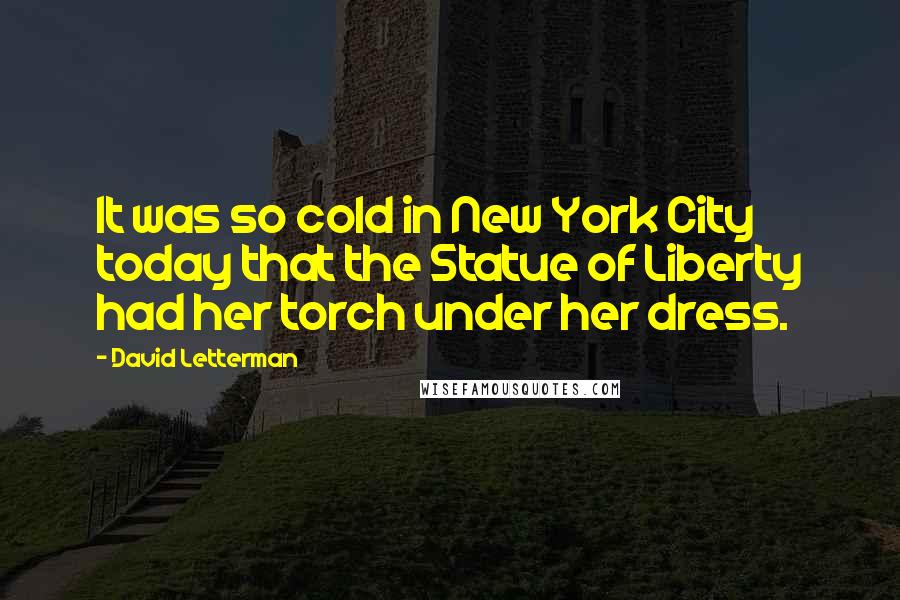David Letterman Quotes: It was so cold in New York City today that the Statue of Liberty had her torch under her dress.