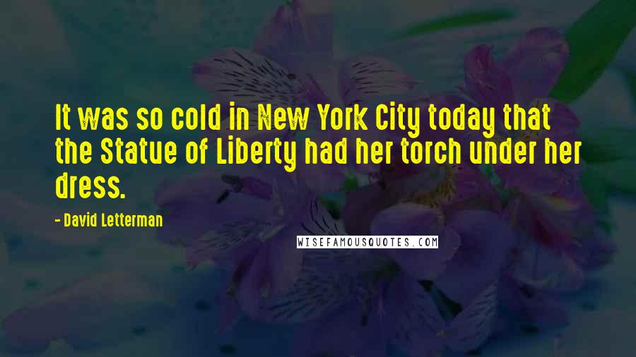David Letterman Quotes: It was so cold in New York City today that the Statue of Liberty had her torch under her dress.
