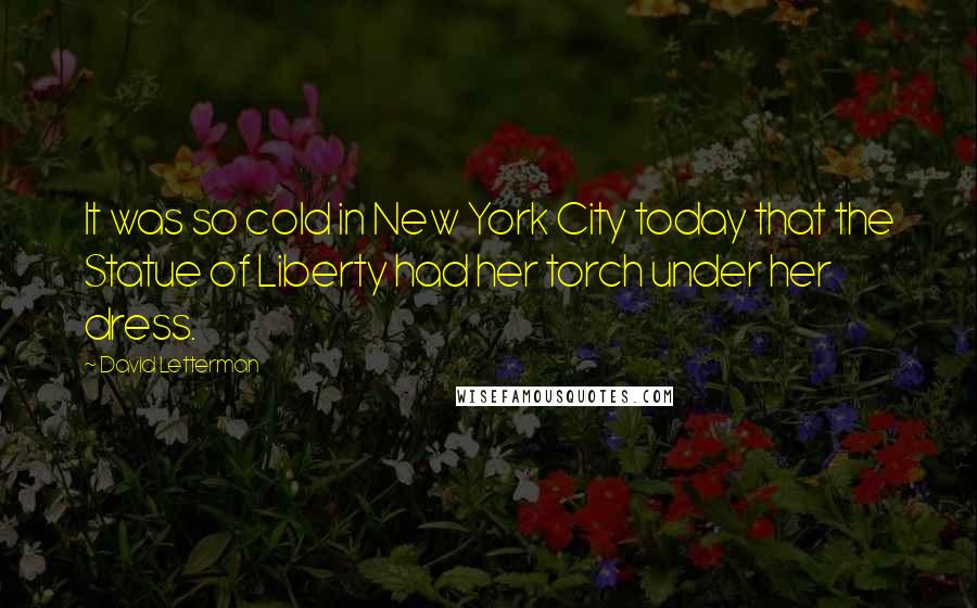David Letterman Quotes: It was so cold in New York City today that the Statue of Liberty had her torch under her dress.
