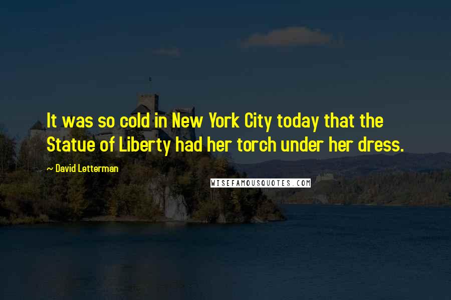 David Letterman Quotes: It was so cold in New York City today that the Statue of Liberty had her torch under her dress.
