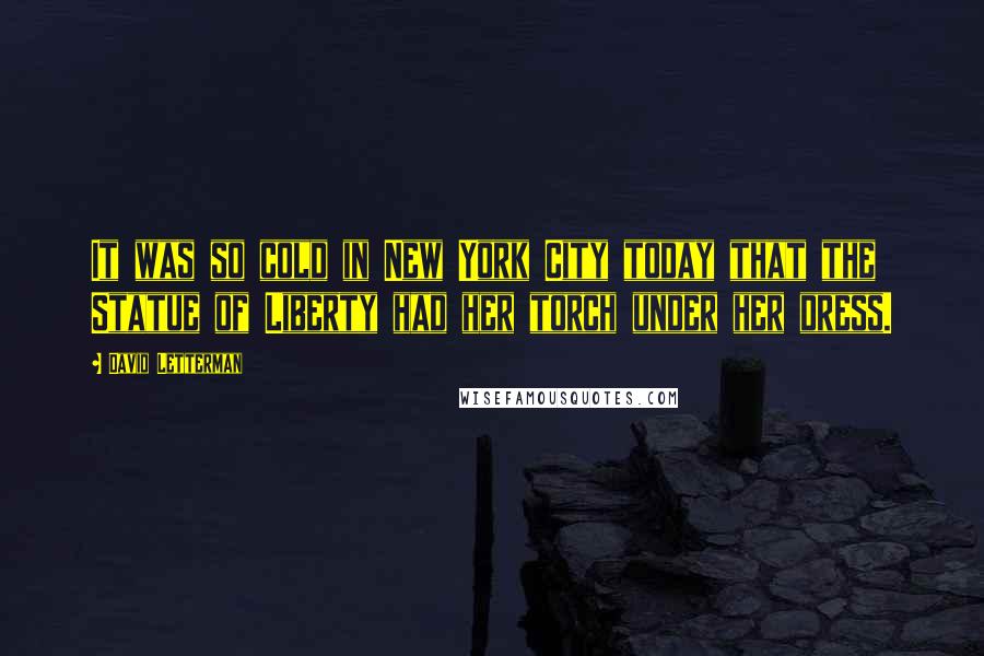 David Letterman Quotes: It was so cold in New York City today that the Statue of Liberty had her torch under her dress.