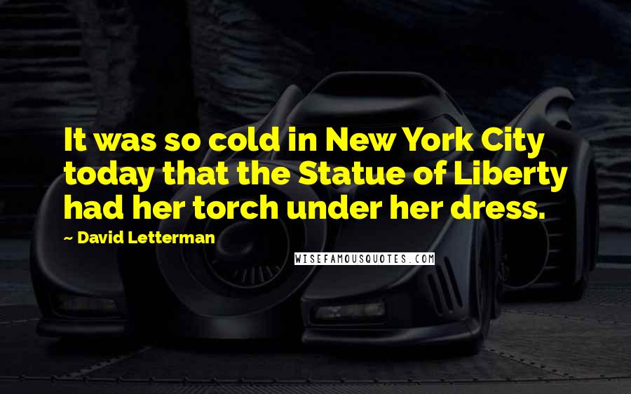 David Letterman Quotes: It was so cold in New York City today that the Statue of Liberty had her torch under her dress.