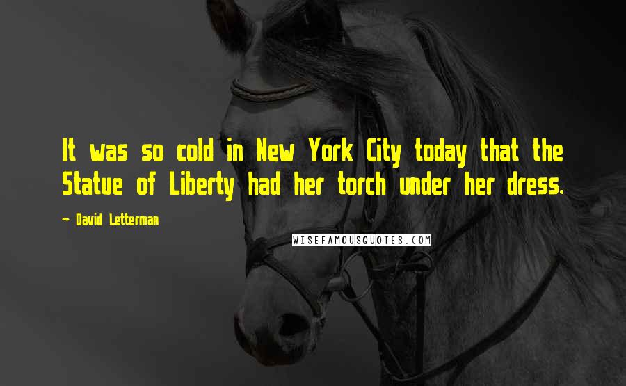 David Letterman Quotes: It was so cold in New York City today that the Statue of Liberty had her torch under her dress.