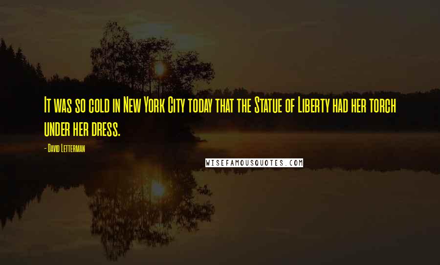 David Letterman Quotes: It was so cold in New York City today that the Statue of Liberty had her torch under her dress.