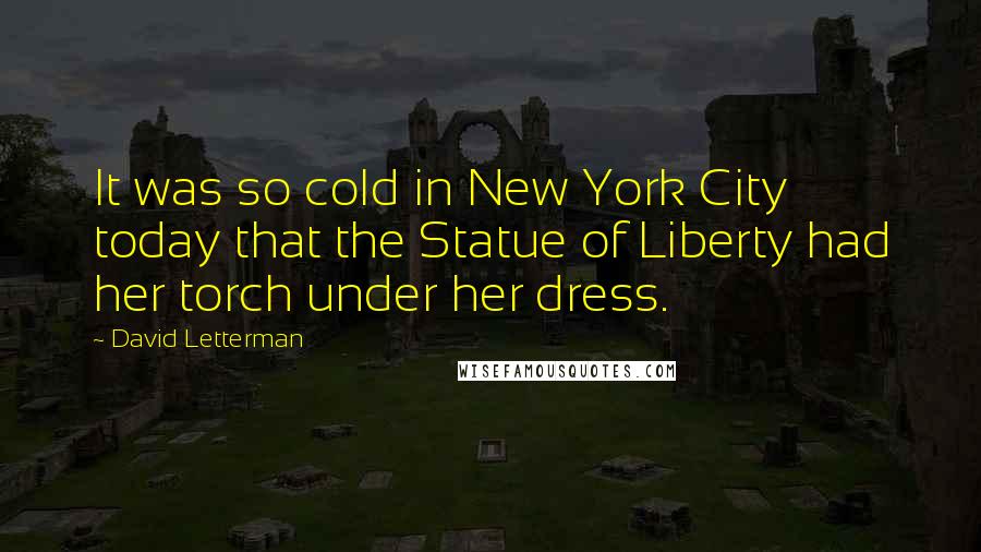 David Letterman Quotes: It was so cold in New York City today that the Statue of Liberty had her torch under her dress.