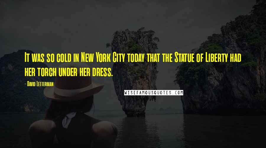 David Letterman Quotes: It was so cold in New York City today that the Statue of Liberty had her torch under her dress.
