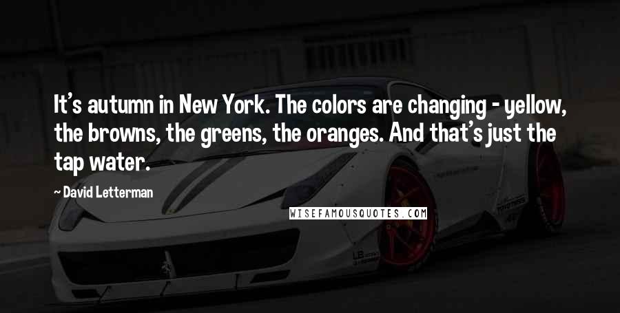 David Letterman Quotes: It's autumn in New York. The colors are changing - yellow, the browns, the greens, the oranges. And that's just the tap water.