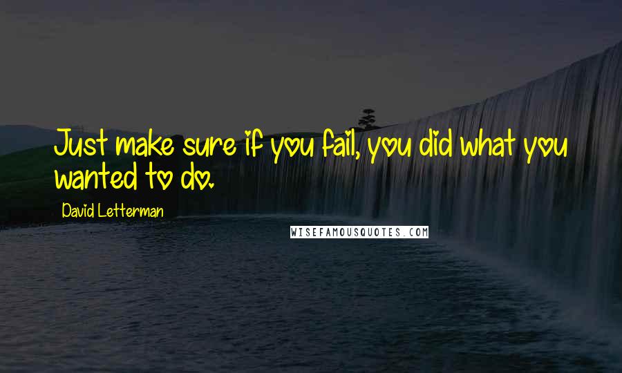 David Letterman Quotes: Just make sure if you fail, you did what you wanted to do.