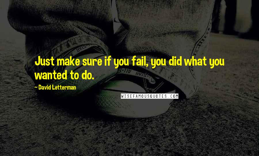 David Letterman Quotes: Just make sure if you fail, you did what you wanted to do.