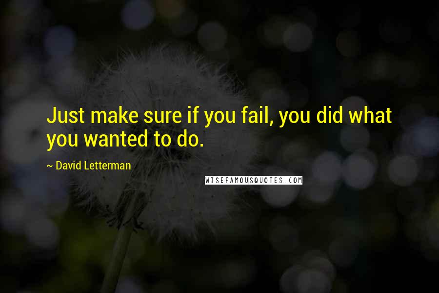 David Letterman Quotes: Just make sure if you fail, you did what you wanted to do.