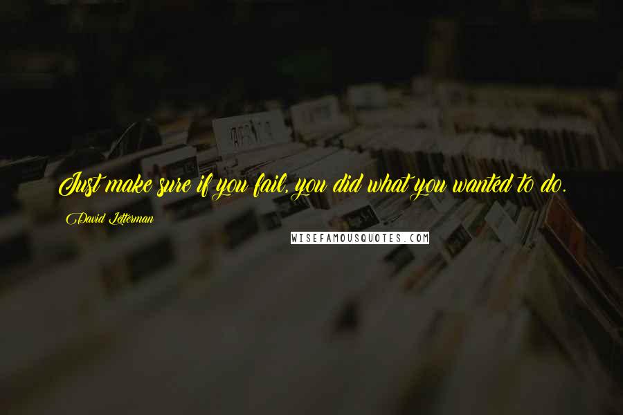 David Letterman Quotes: Just make sure if you fail, you did what you wanted to do.