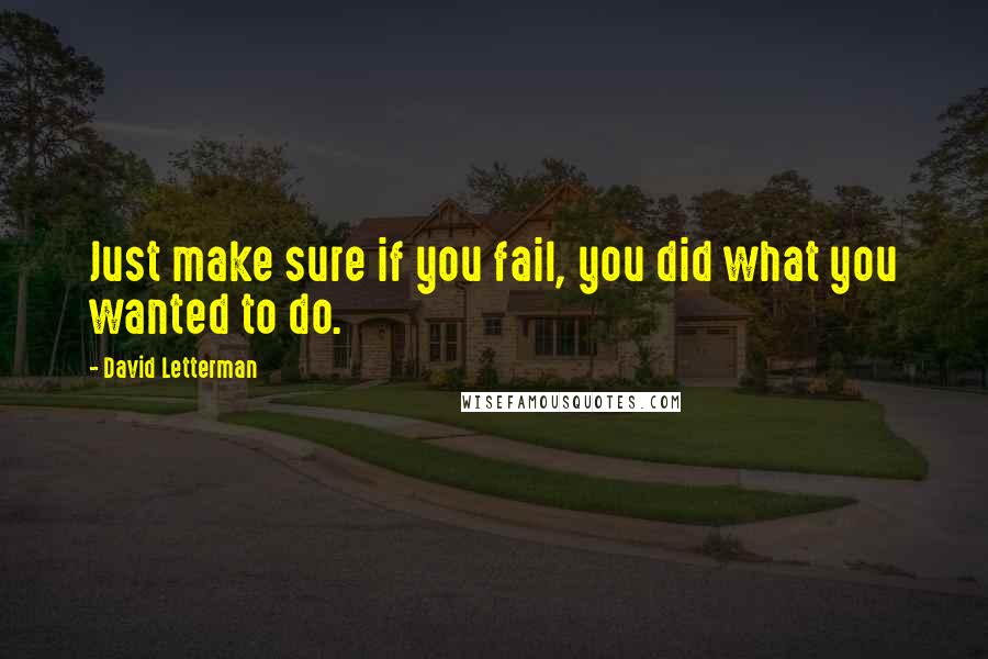 David Letterman Quotes: Just make sure if you fail, you did what you wanted to do.