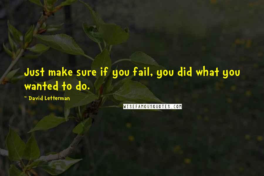 David Letterman Quotes: Just make sure if you fail, you did what you wanted to do.