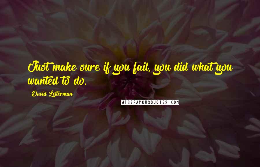 David Letterman Quotes: Just make sure if you fail, you did what you wanted to do.