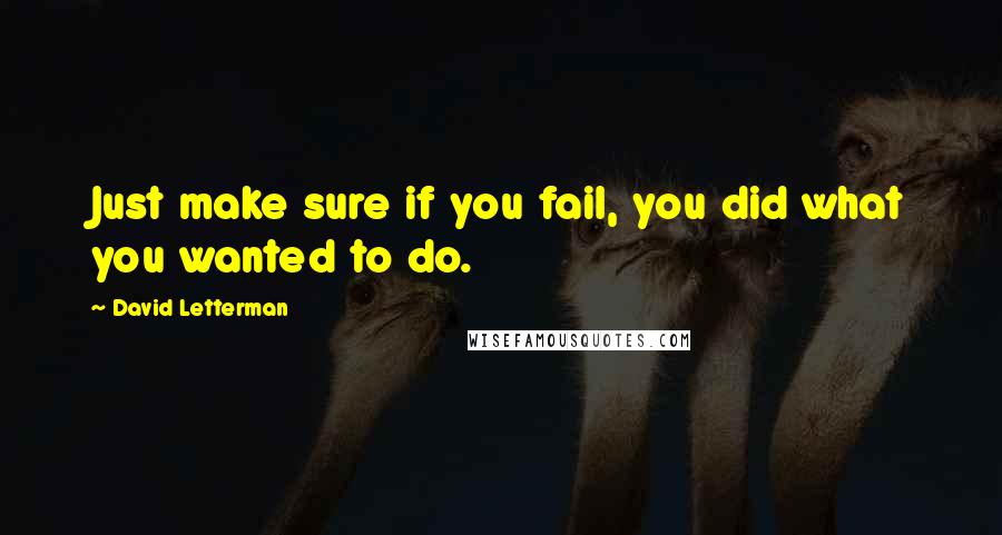 David Letterman Quotes: Just make sure if you fail, you did what you wanted to do.