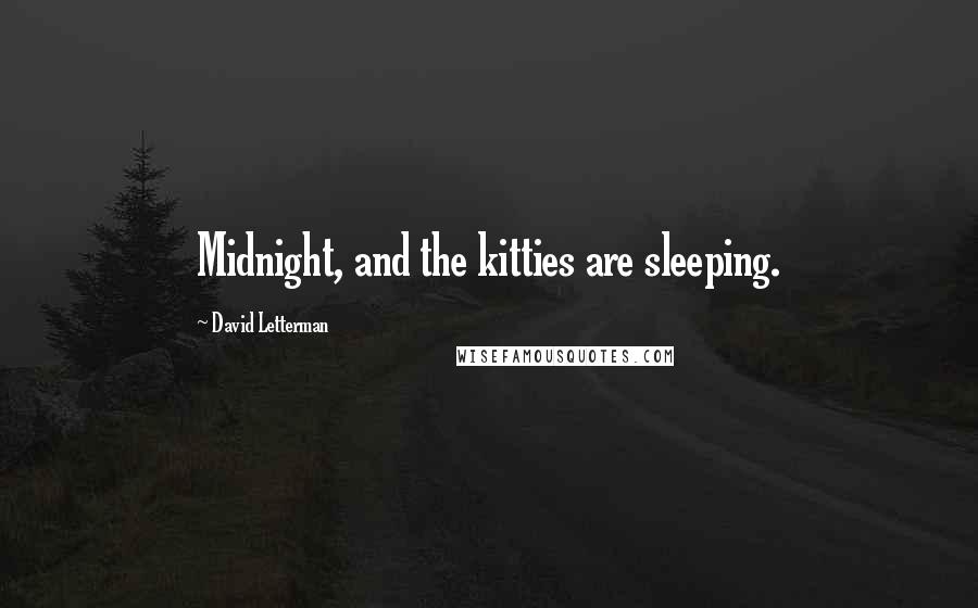 David Letterman Quotes: Midnight, and the kitties are sleeping.