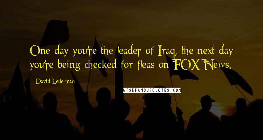 David Letterman Quotes: One day you're the leader of Iraq, the next day you're being checked for fleas on FOX News.