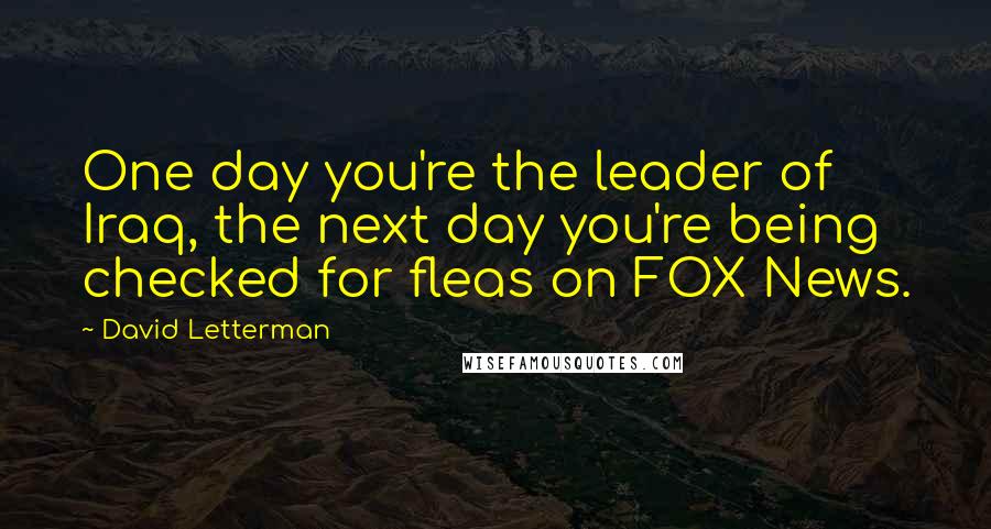 David Letterman Quotes: One day you're the leader of Iraq, the next day you're being checked for fleas on FOX News.