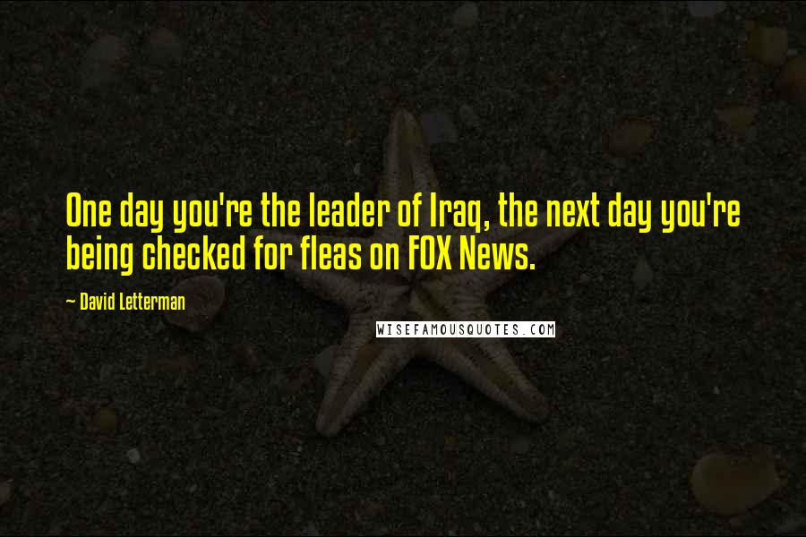 David Letterman Quotes: One day you're the leader of Iraq, the next day you're being checked for fleas on FOX News.
