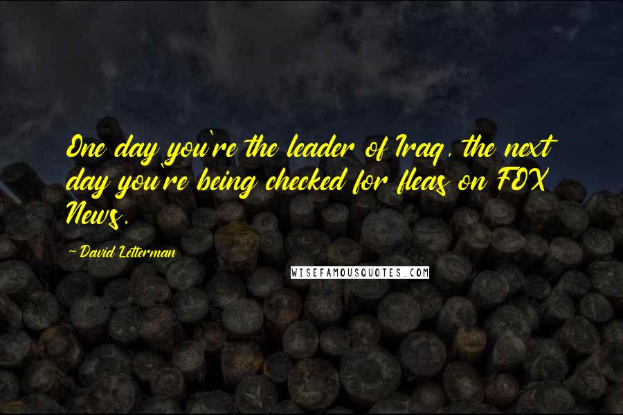 David Letterman Quotes: One day you're the leader of Iraq, the next day you're being checked for fleas on FOX News.