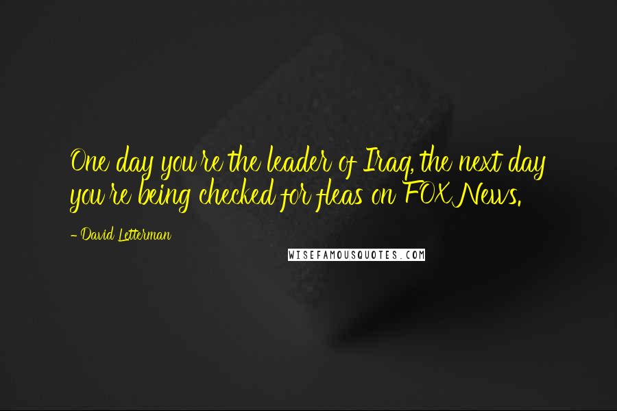 David Letterman Quotes: One day you're the leader of Iraq, the next day you're being checked for fleas on FOX News.