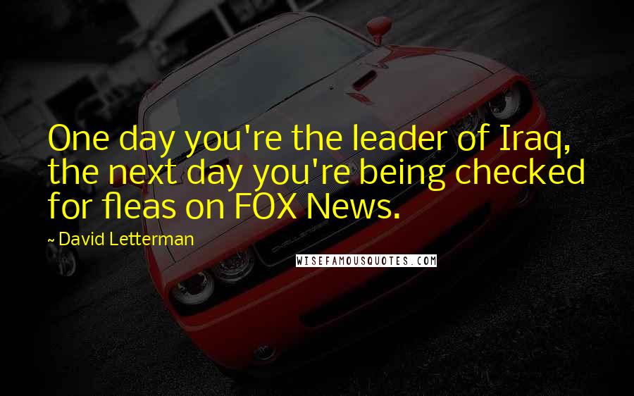 David Letterman Quotes: One day you're the leader of Iraq, the next day you're being checked for fleas on FOX News.