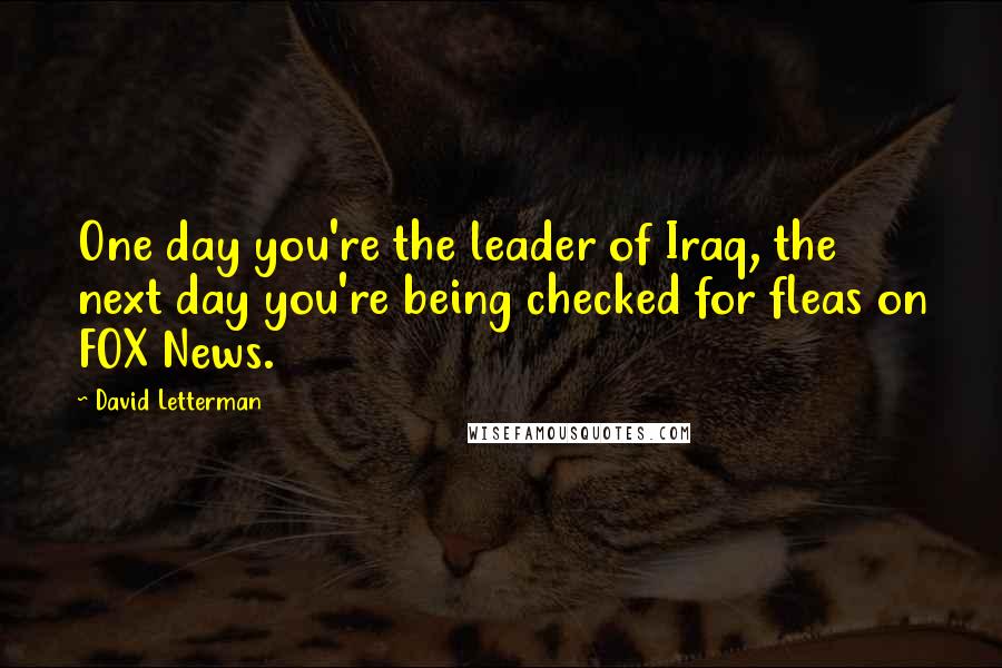 David Letterman Quotes: One day you're the leader of Iraq, the next day you're being checked for fleas on FOX News.
