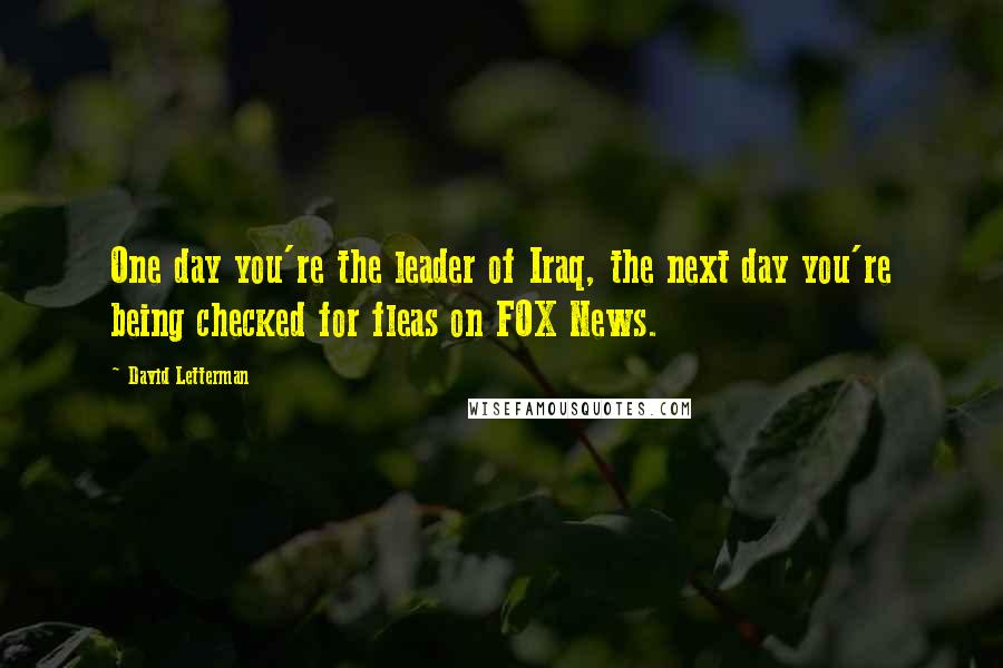 David Letterman Quotes: One day you're the leader of Iraq, the next day you're being checked for fleas on FOX News.