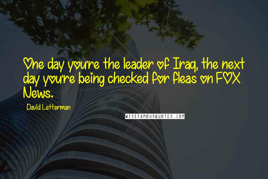 David Letterman Quotes: One day you're the leader of Iraq, the next day you're being checked for fleas on FOX News.