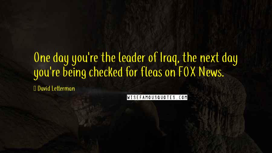 David Letterman Quotes: One day you're the leader of Iraq, the next day you're being checked for fleas on FOX News.