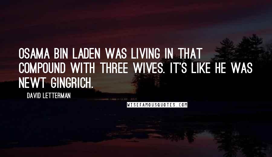 David Letterman Quotes: Osama bin Laden was living in that compound with three wives. It's like he was Newt Gingrich.