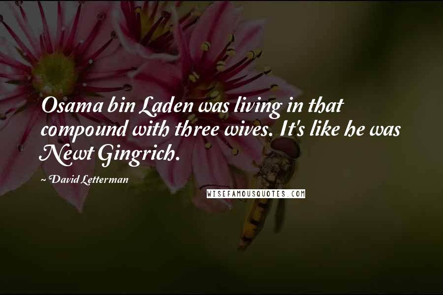 David Letterman Quotes: Osama bin Laden was living in that compound with three wives. It's like he was Newt Gingrich.
