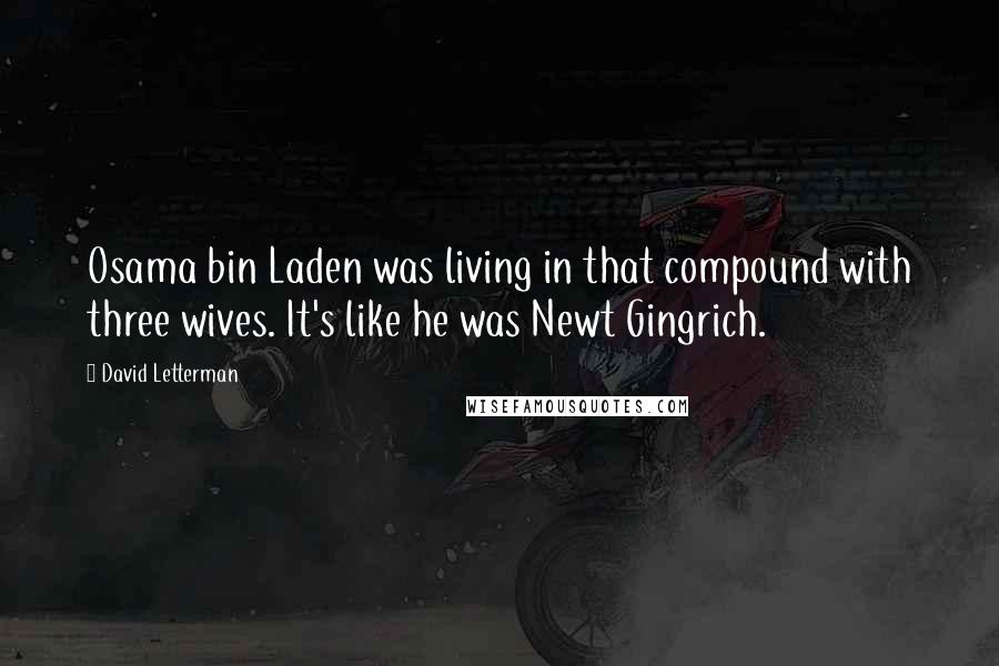 David Letterman Quotes: Osama bin Laden was living in that compound with three wives. It's like he was Newt Gingrich.