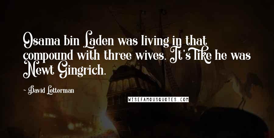 David Letterman Quotes: Osama bin Laden was living in that compound with three wives. It's like he was Newt Gingrich.