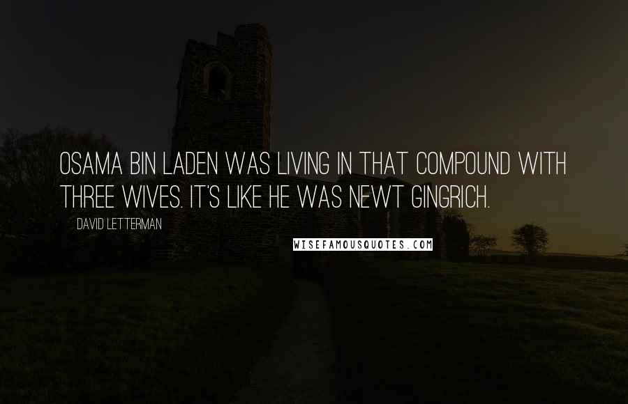David Letterman Quotes: Osama bin Laden was living in that compound with three wives. It's like he was Newt Gingrich.