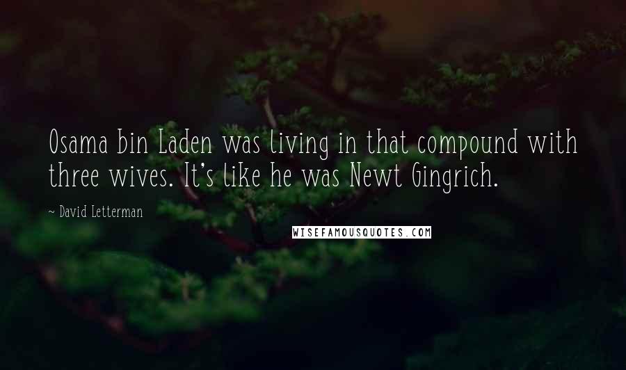 David Letterman Quotes: Osama bin Laden was living in that compound with three wives. It's like he was Newt Gingrich.