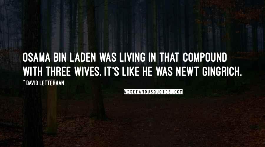 David Letterman Quotes: Osama bin Laden was living in that compound with three wives. It's like he was Newt Gingrich.